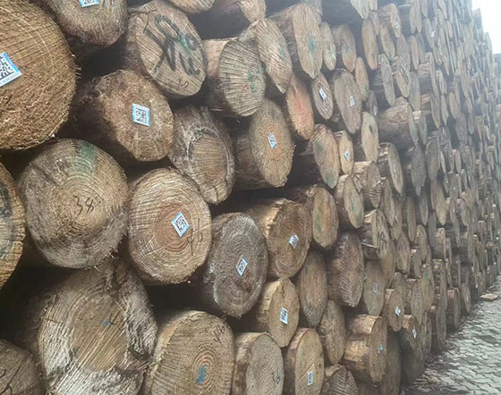 原木、圓木
